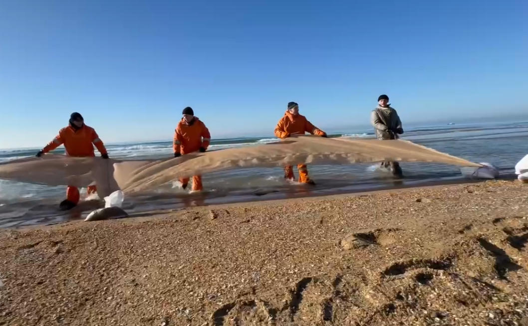 Тест-эксперимент против повторного выброса мазута. Социальные сети Яны Чуриковой