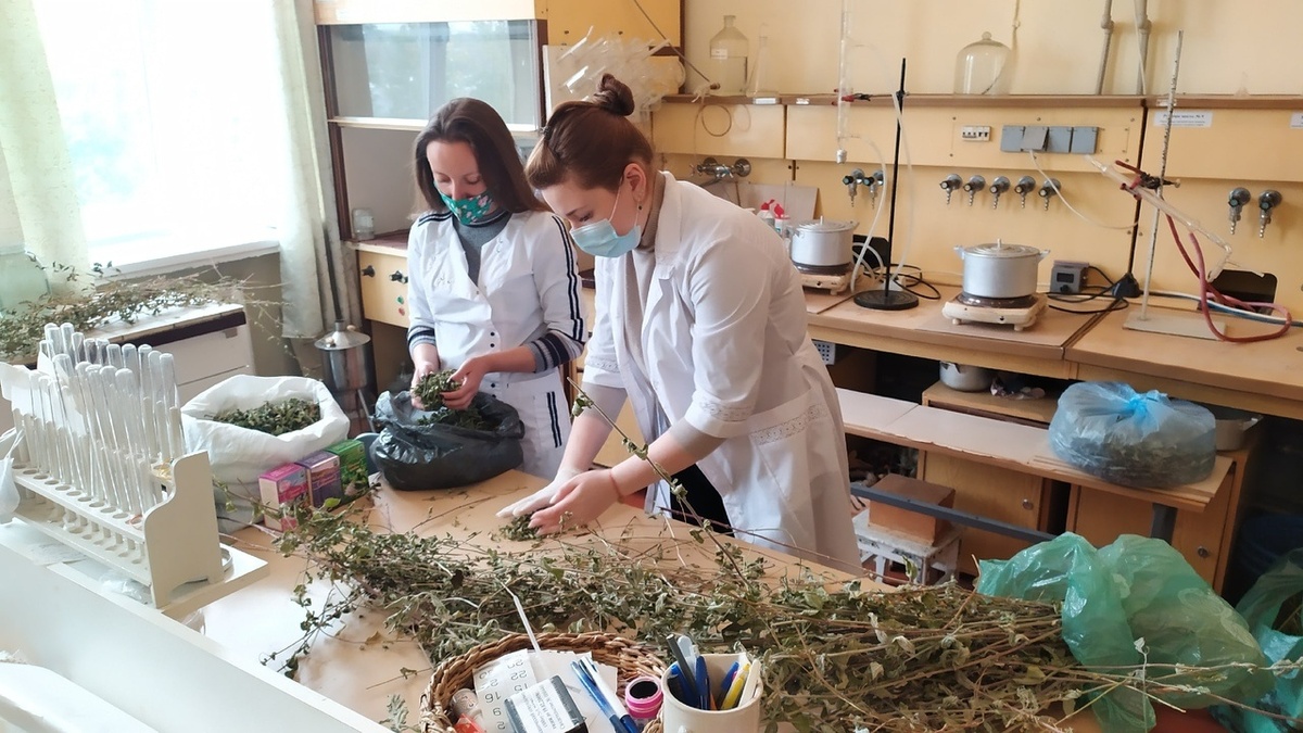 Более 5 лет Институт занимался разработкой рецептов чайных напитков с добавлением эфиромасличных растений
