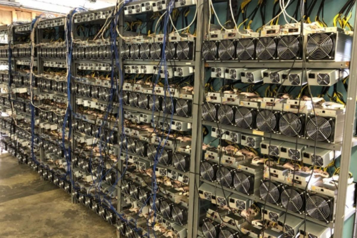 Так выглядит блок стандартной "майнинговой фермы". Фото: img.ixbt.site
