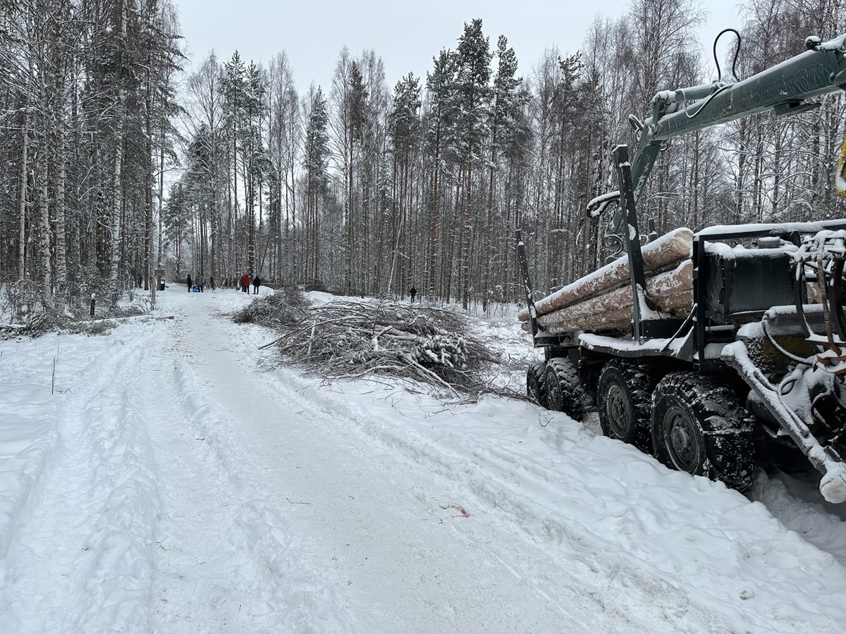    Строительство канализации на Древлянке. Фото: Мэрия Петрозаводска