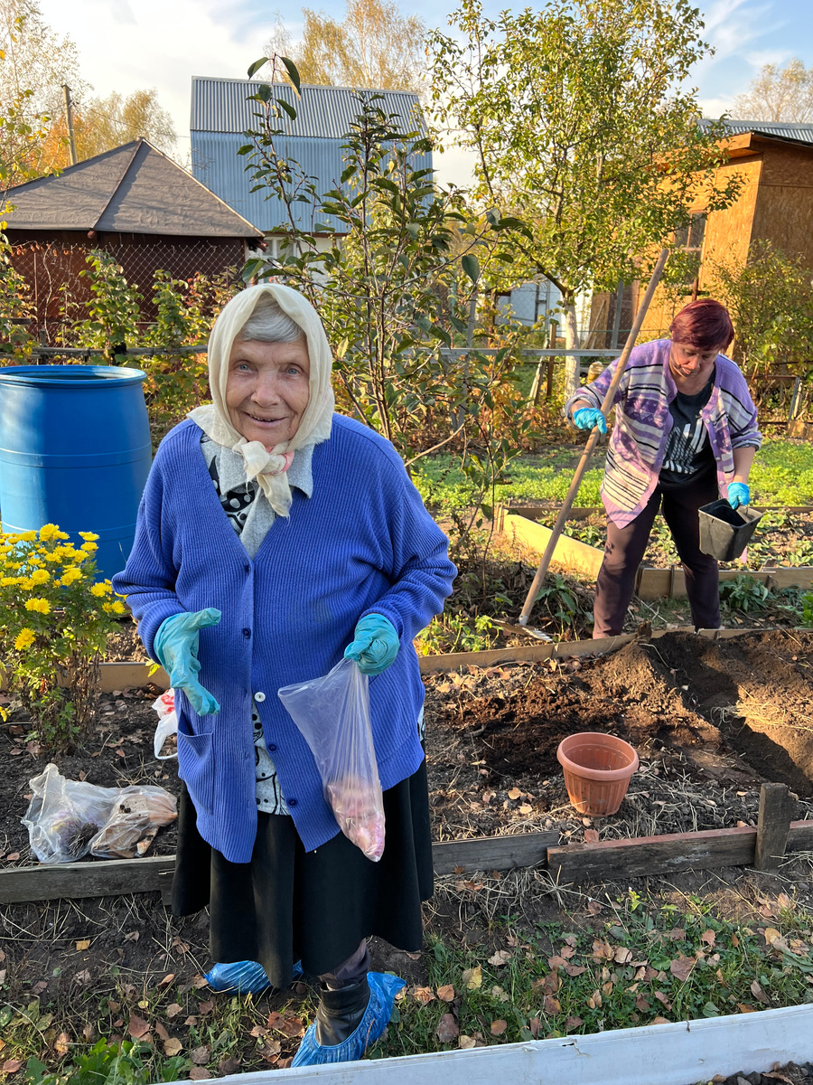 2024 год на даче осенью