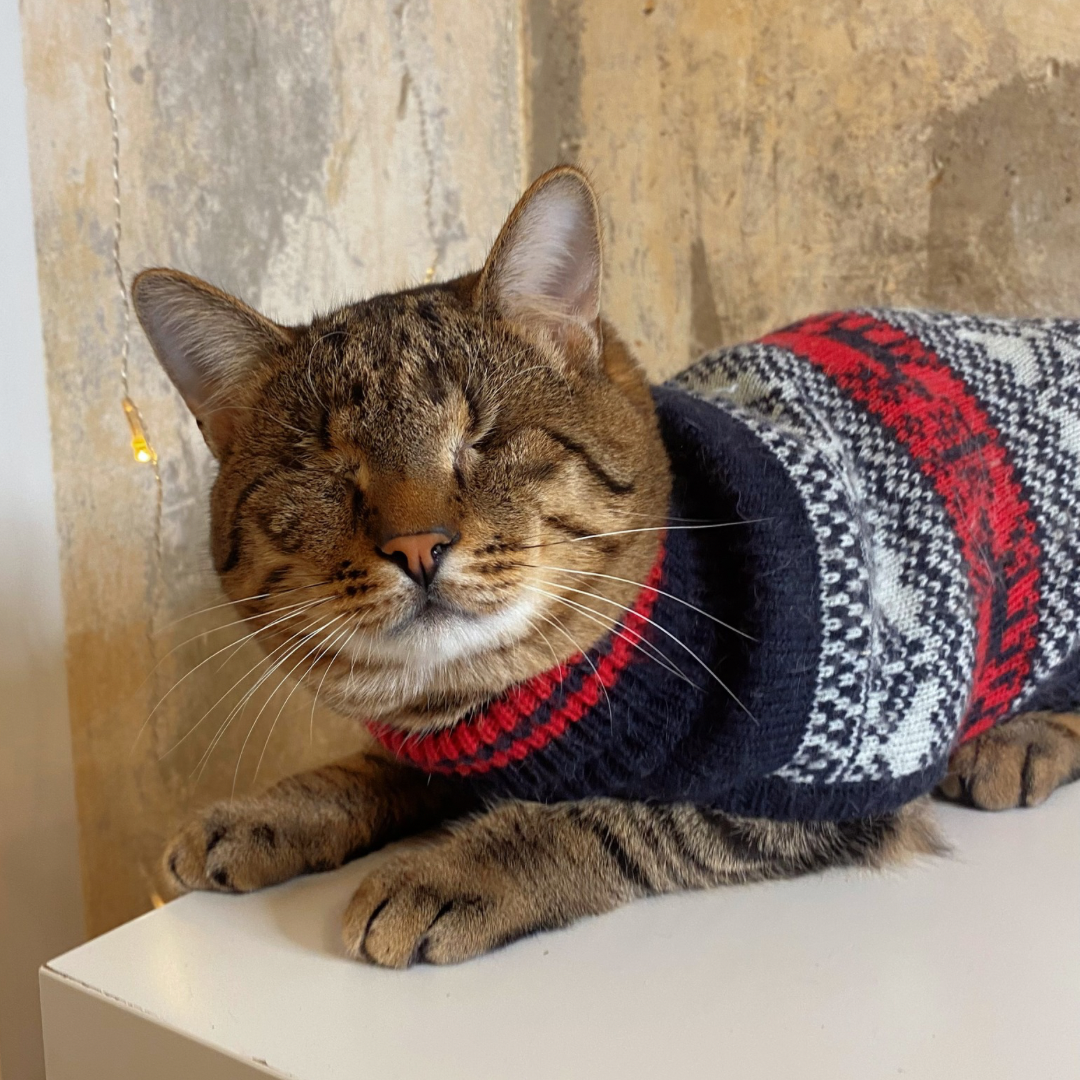 Фото автора. Ларс