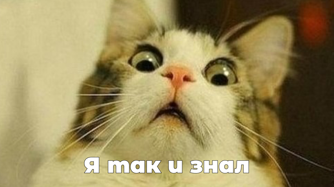 Не спешите с выводами