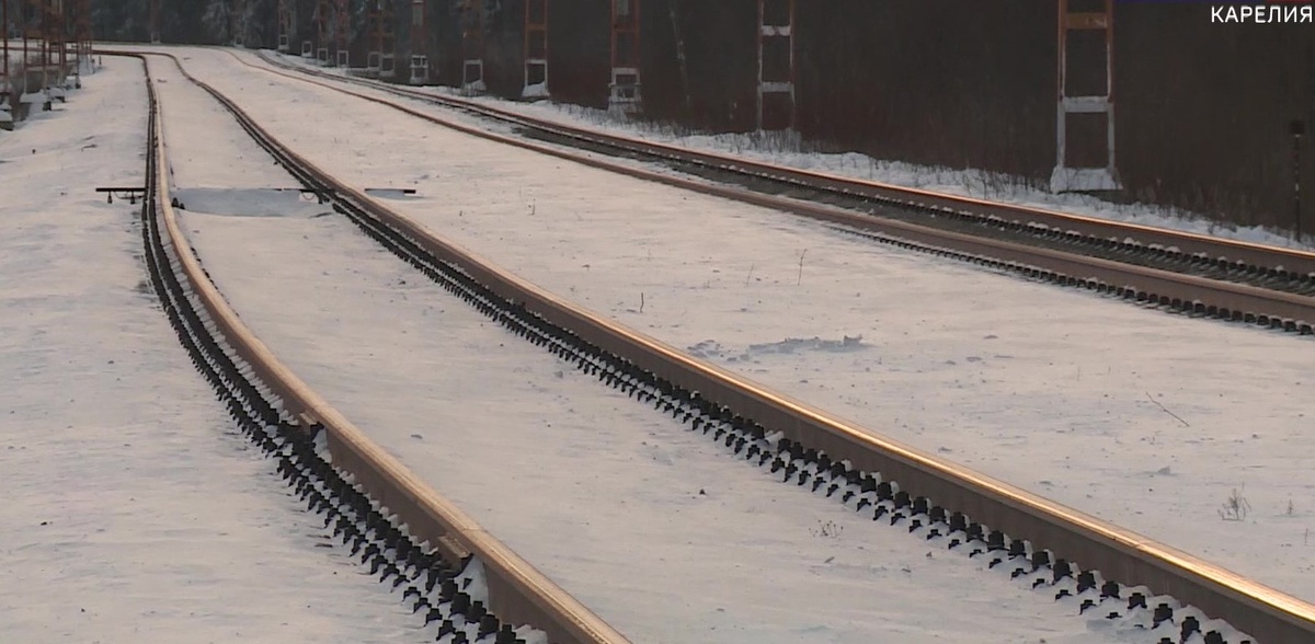    Фото: ГТРК Карелия