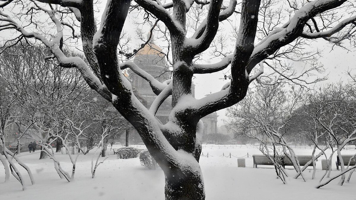    Фото: ИЗВЕСТИЯ/Семен Орлов