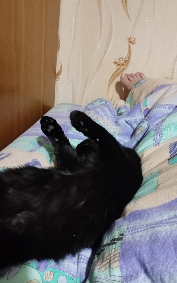 Чемпион по спанью 😁