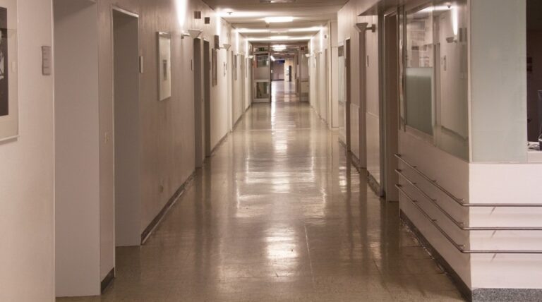    Фото: pxhere.com Дмитрий Андреев