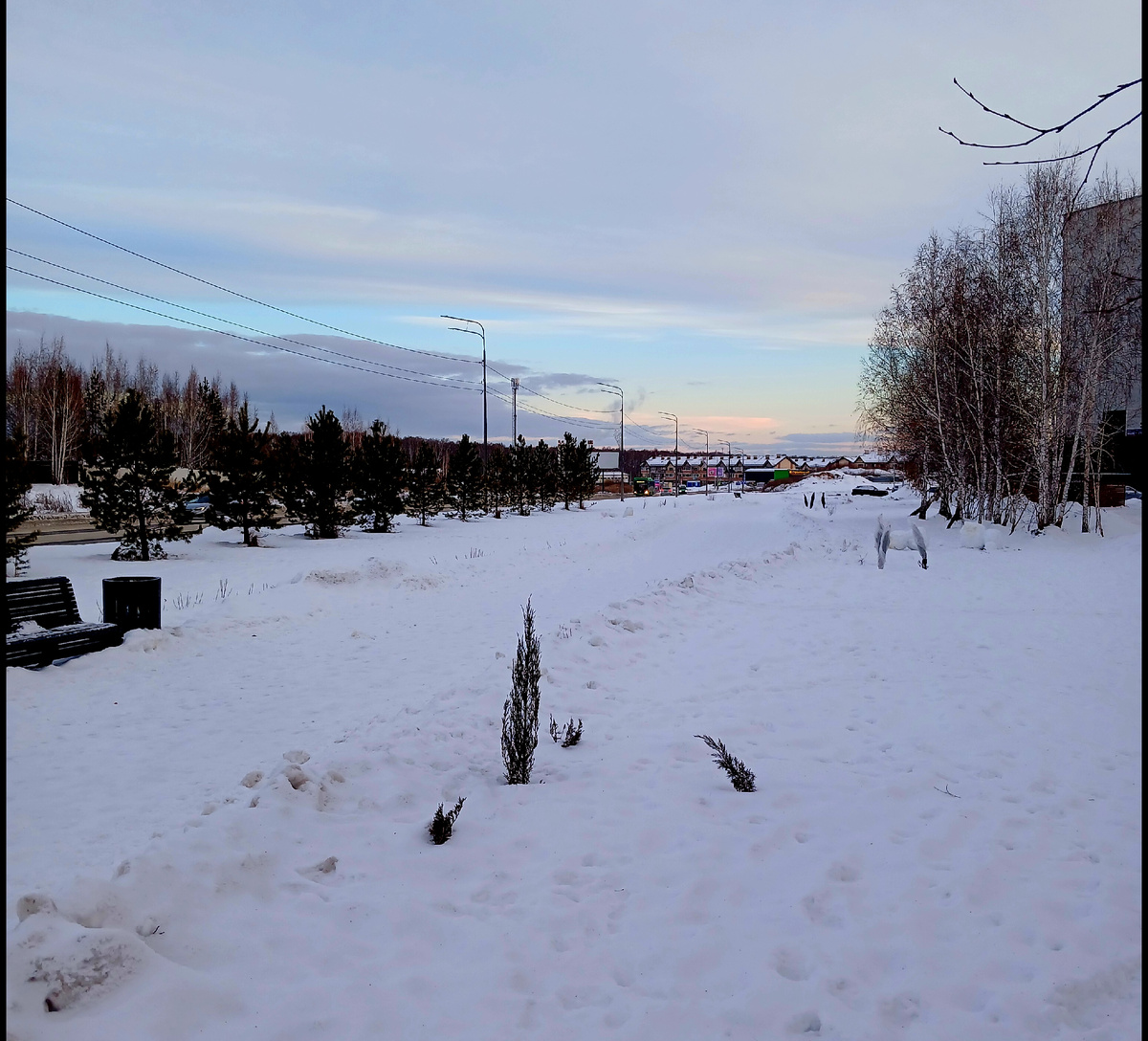 "Доброе утро, мир! Ты прекрасен!" Фото автора 