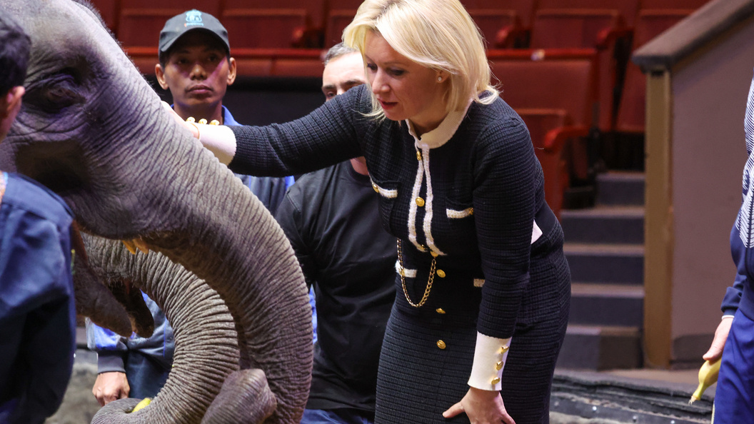    © Belkin Alexey/Globallookpress