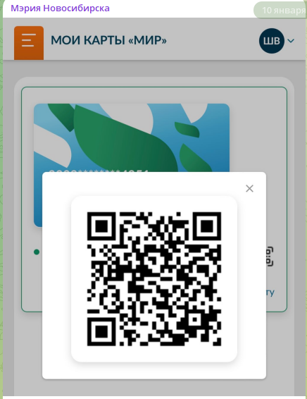    фото: скриншот тг мэрия Новосибирска