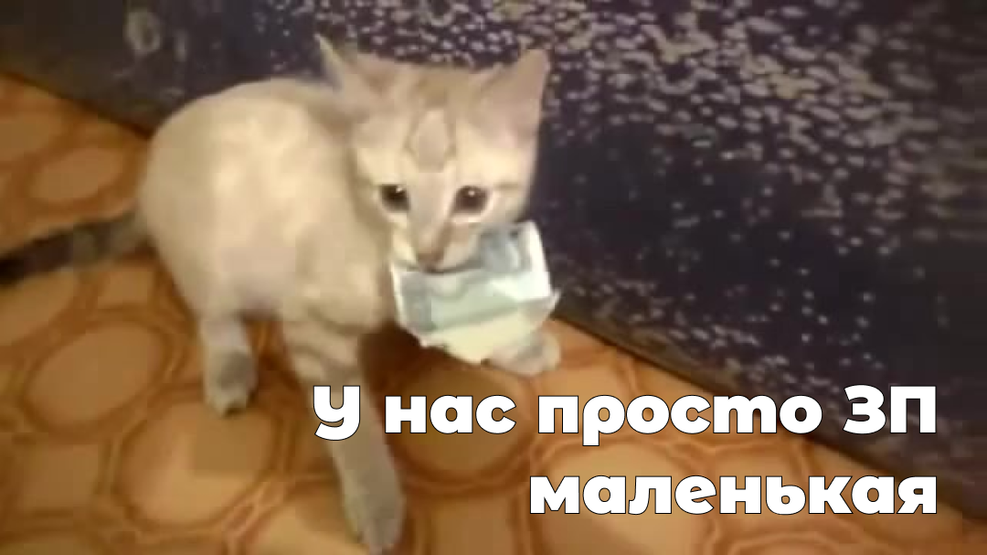 Или ставки на рекламу подросли)