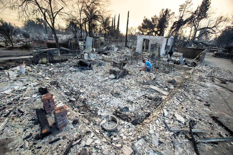   REUTERS