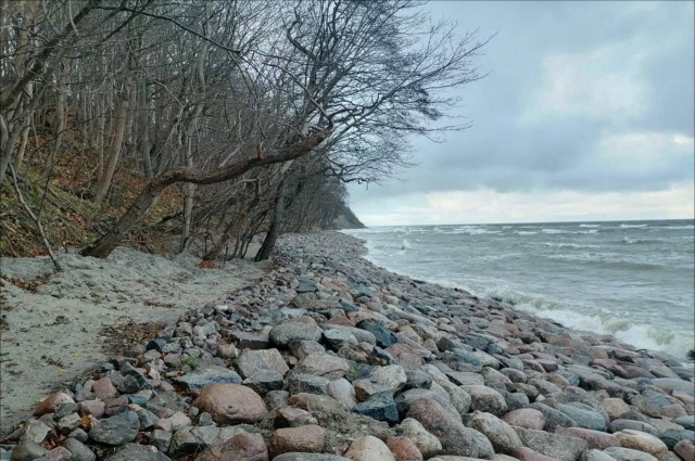   Фото: «Балтберегозащита», «ВКонтакте»