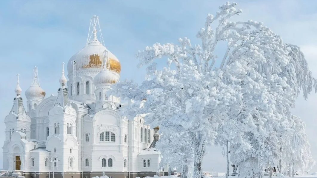 картинки Яндекс