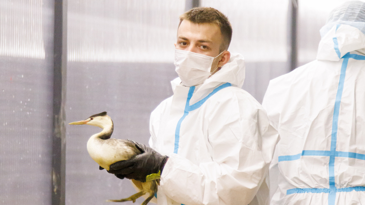    Фото: штаб #МЫВМЕСТЕ