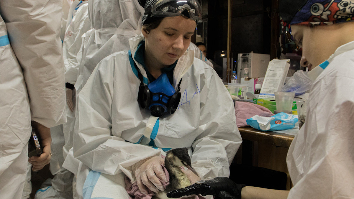    Фото: Я.А. Чурикова