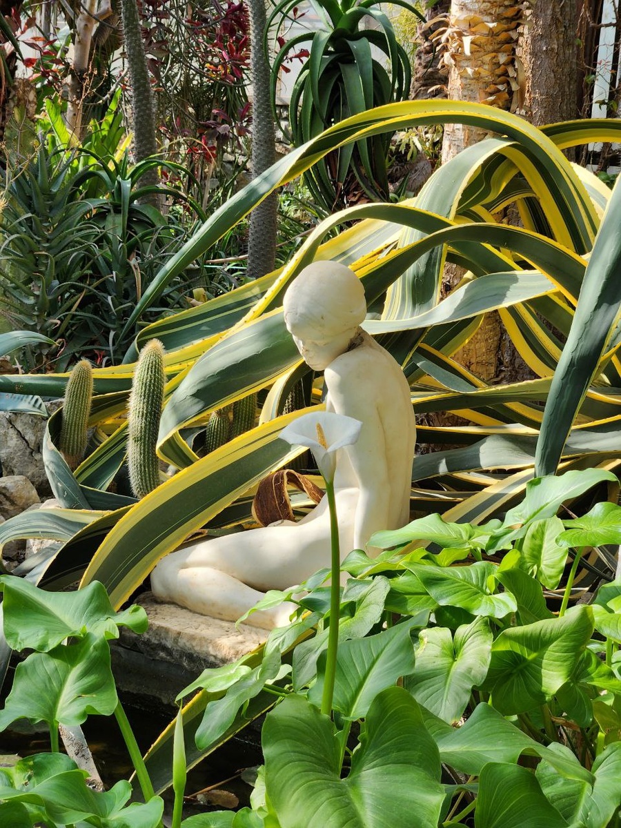 И оператору жалко, ведь чем больше полученных кредитов, тем больше у него премия