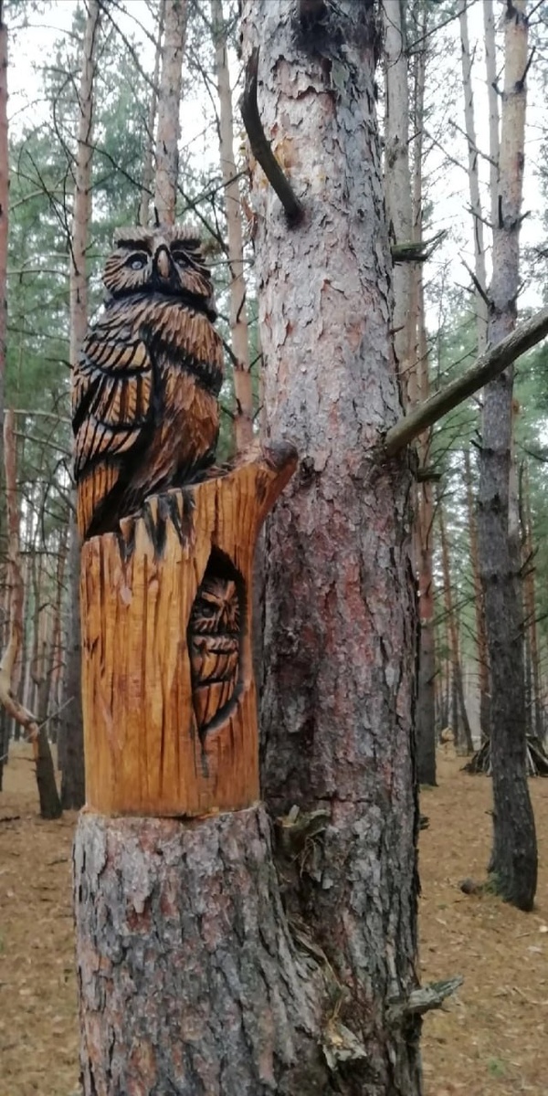 Вот как умнО придумали! Совушки-умные головушки))