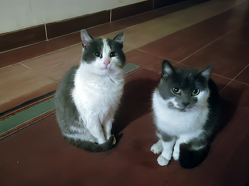 Слева сын, справа мама