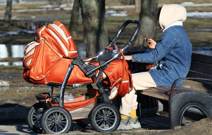    Госдума одобрила продление программы маткапитала на этот срок