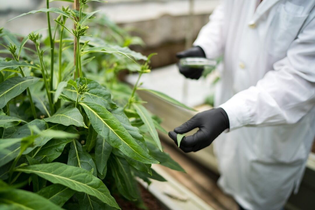 Фото: Александр Плонский / «Агроэксперт»