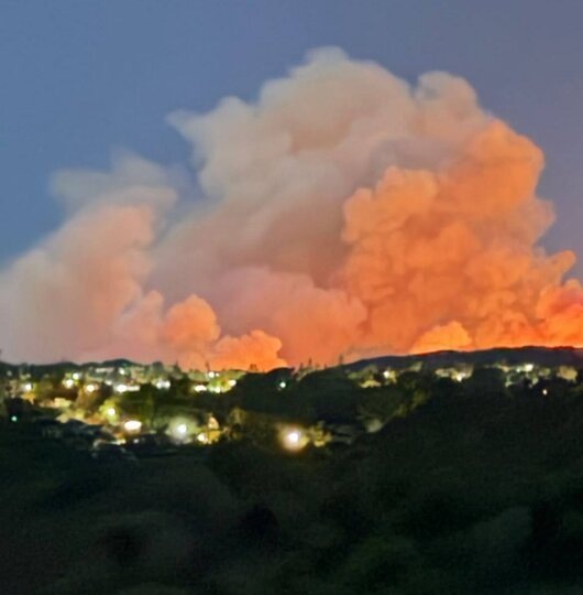    социальные сети / @parishilton