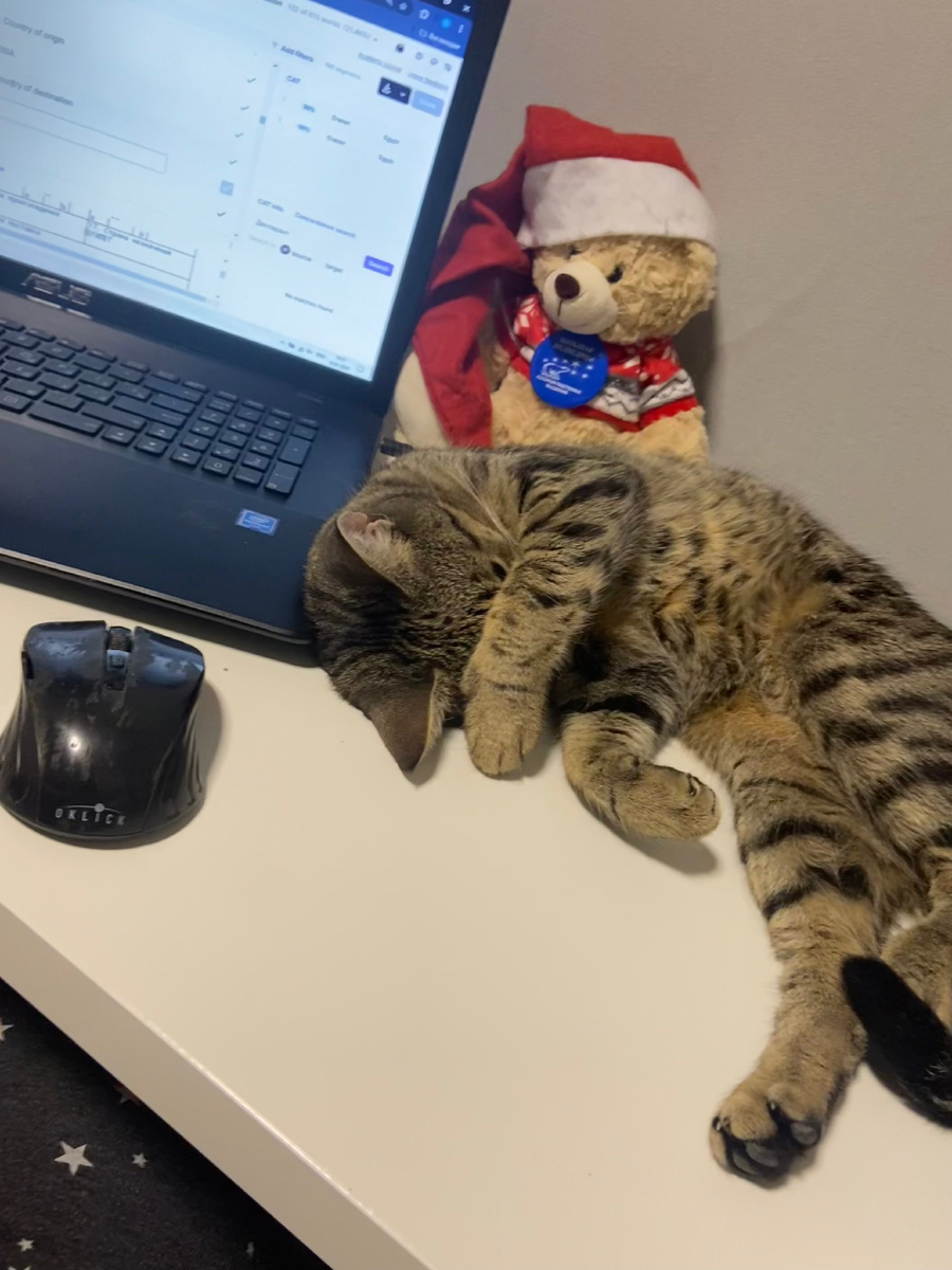 Кошенька: «глаза бы мои этих твоих деклараций не видели»