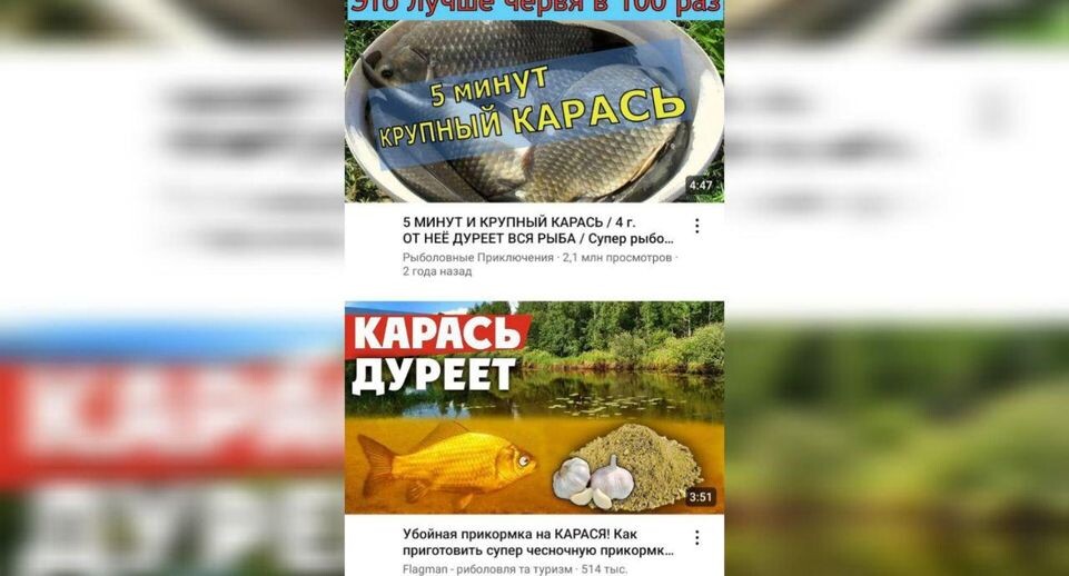    скриншот/YouTube