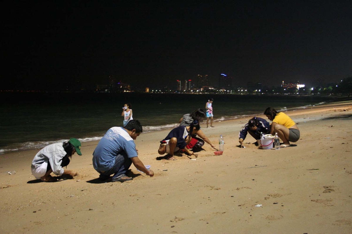 А эти не купили - так и копают