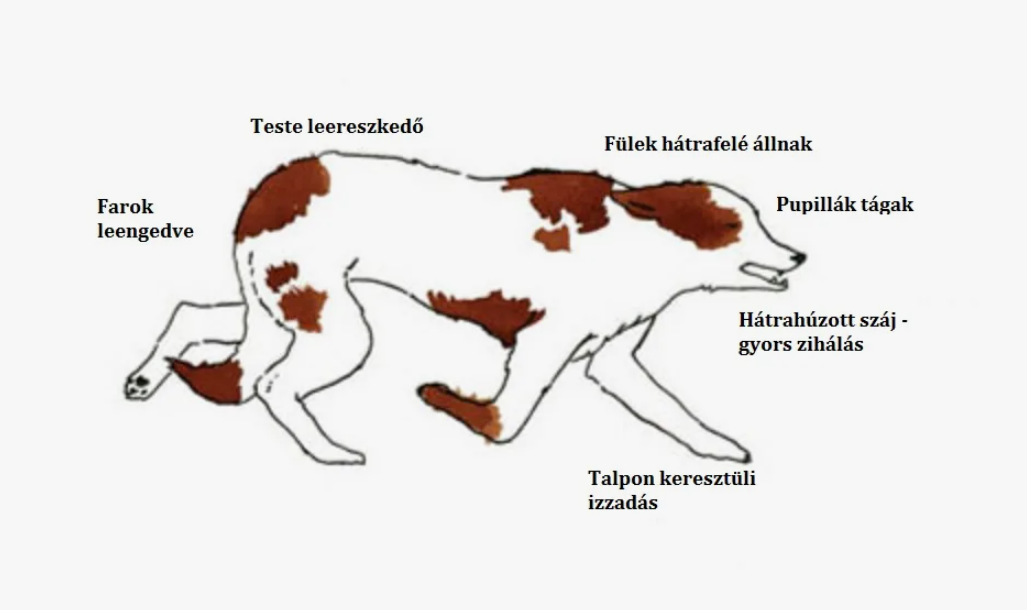 Скриншот автора. 