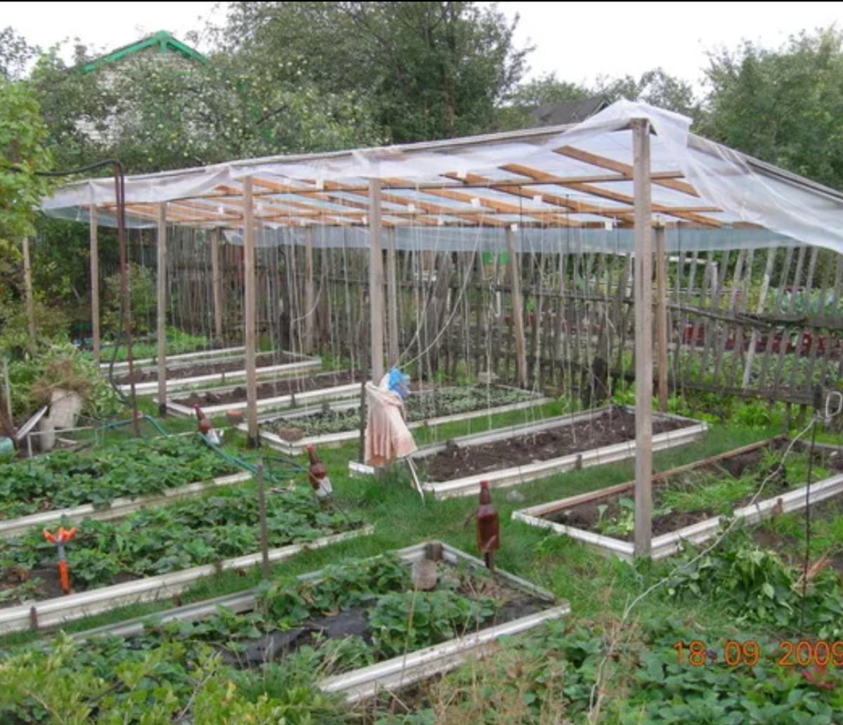 Яндекс-картинки. 