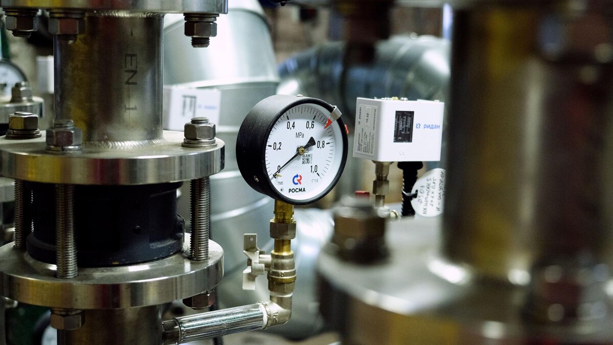    Фото: пресс-служба администрации Санкт-Петербурга