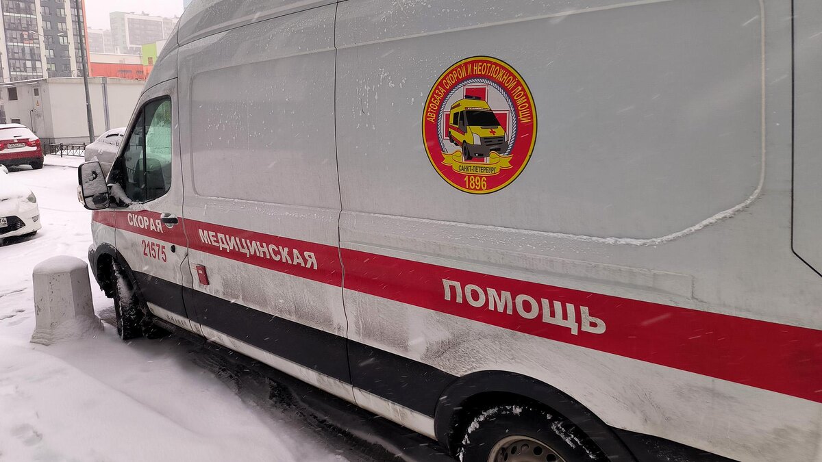    Фото: Maksim Konstantinov/globallookpress.com