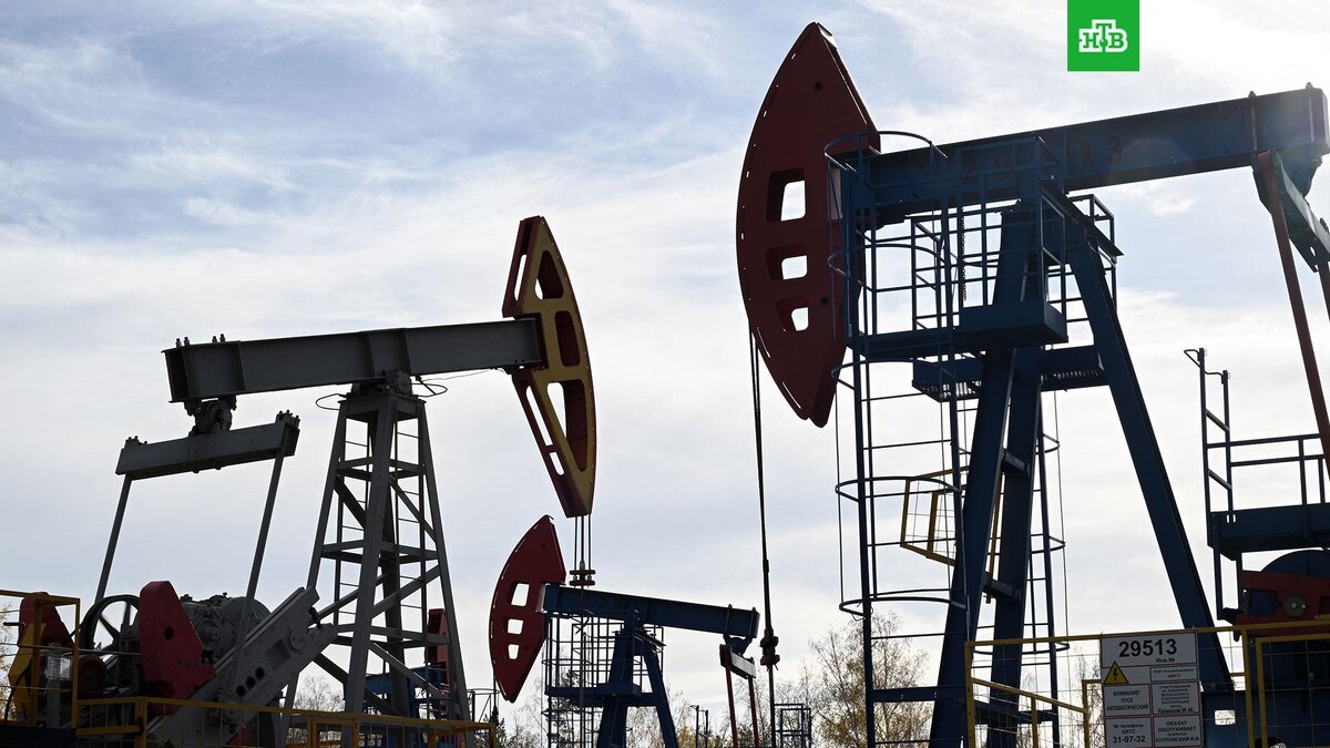    Фото: РИА Новости © 2025, Максим Богодвид