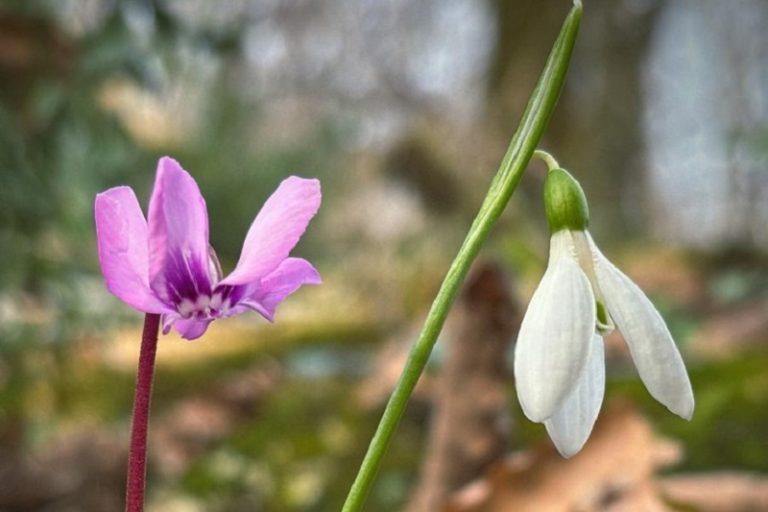 Фото: npsochi.ru