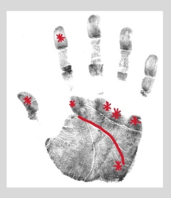 Фото из интернета 