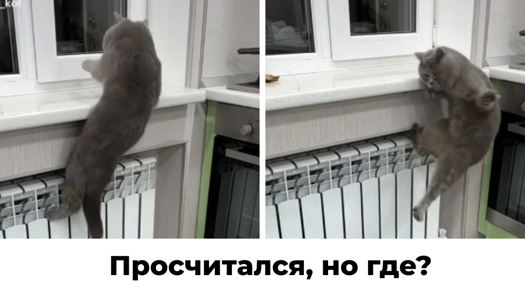 Ошибся? Не ошибайся.