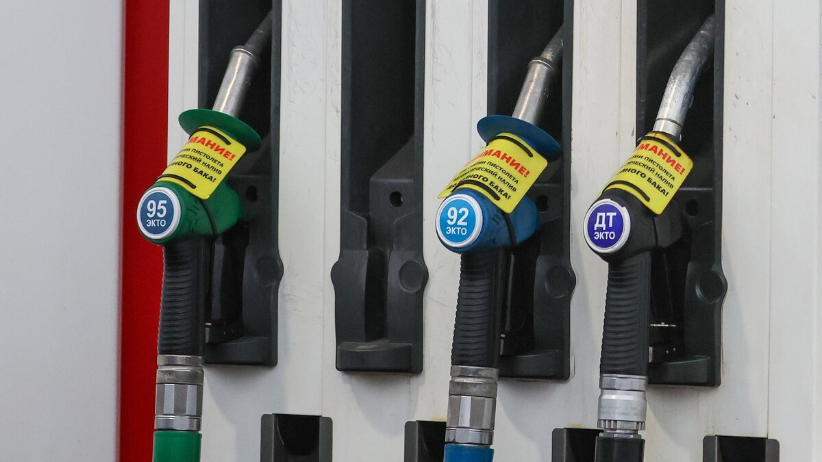 Фото: Belkin Alexey/globallookpress.com