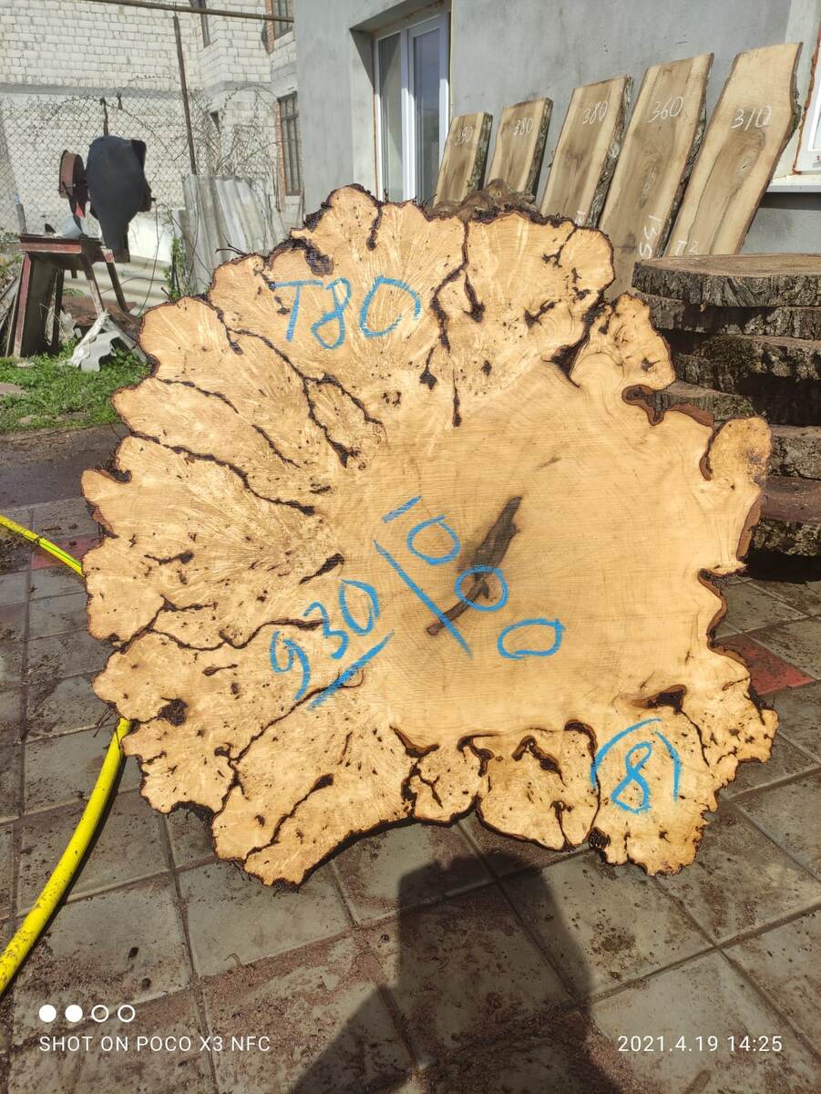 Торцевой спил граба