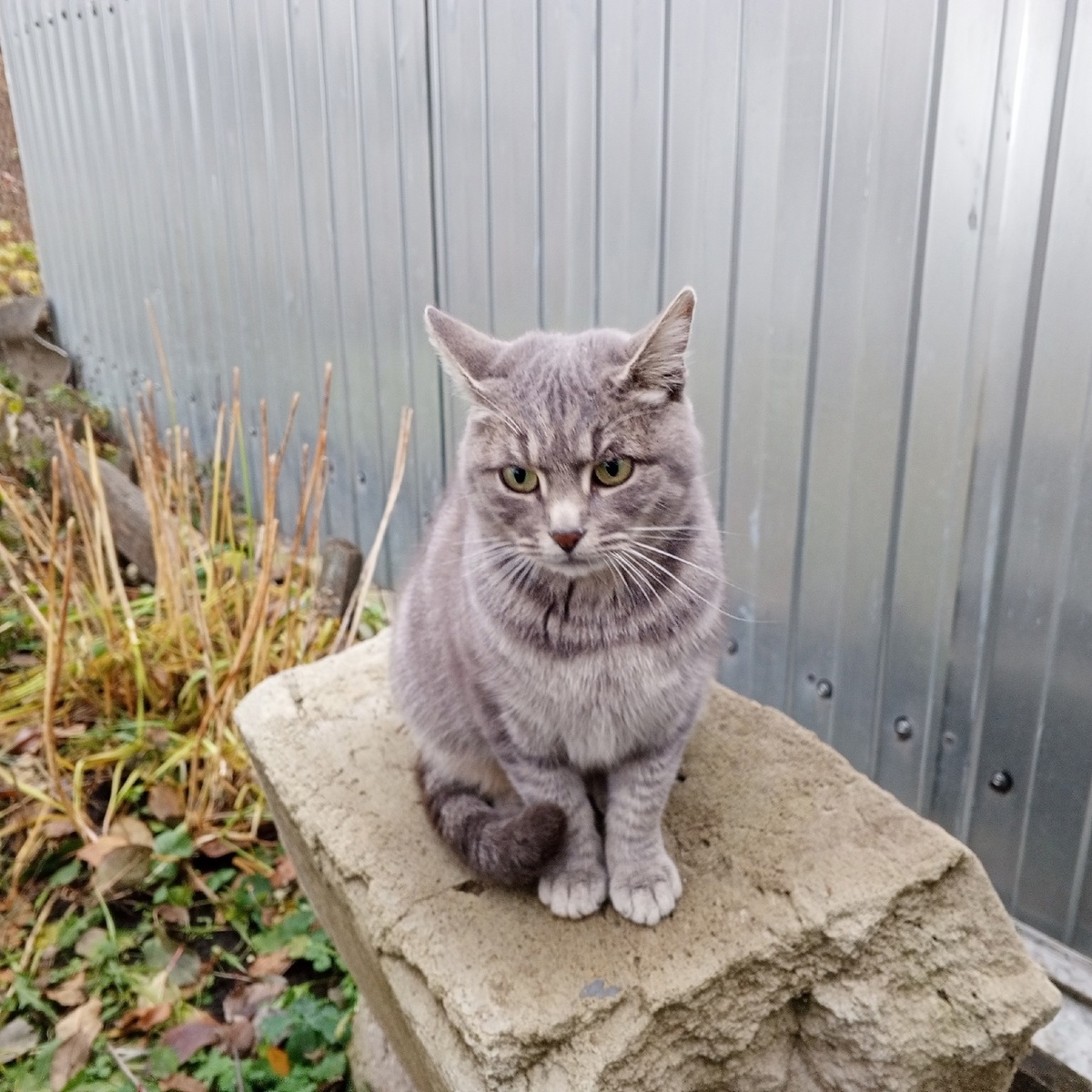 личное фото автора