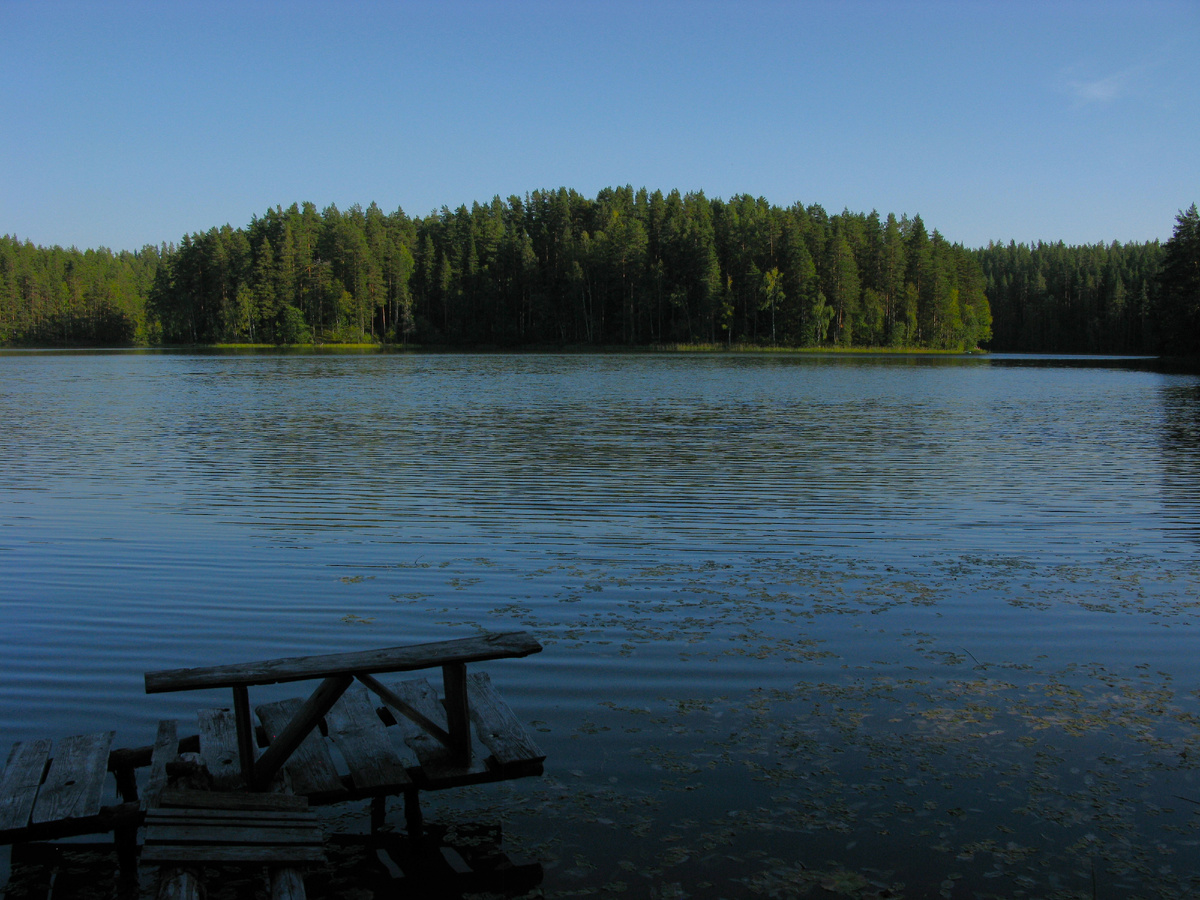 Озеро Узорное - вид на остров с северного берега.