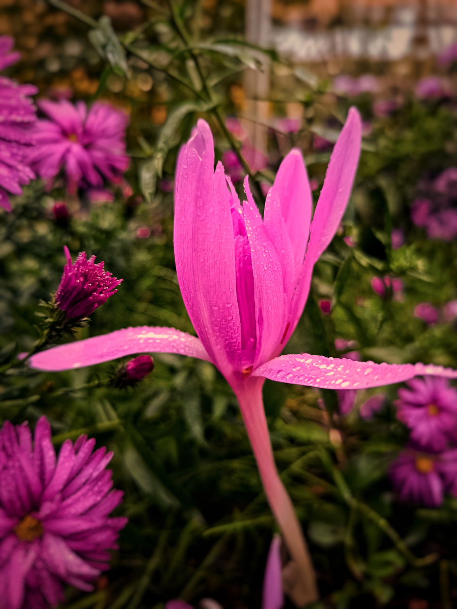 Фото личное