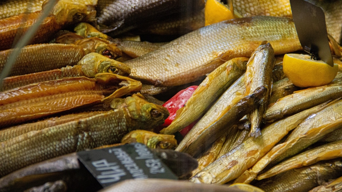 Фото принадлежит ИА SM-News📷
