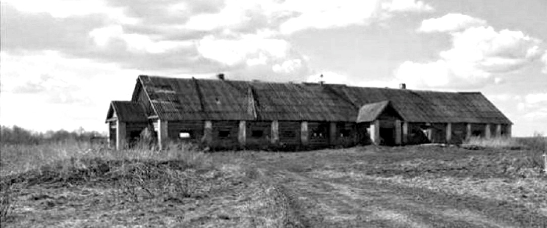 Вот так выглядела наша деревенская конюшня в период распада местного совхоза. Фото из личного архива автора.