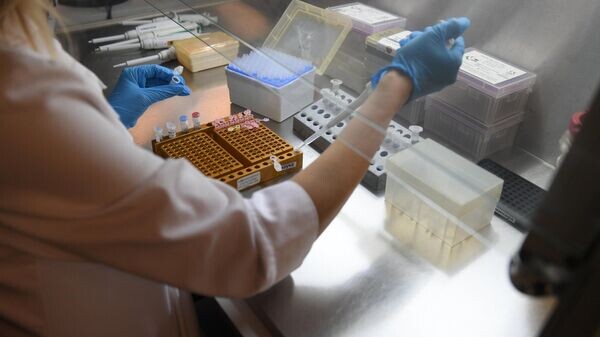    © Sputnik / Виктор Толочко