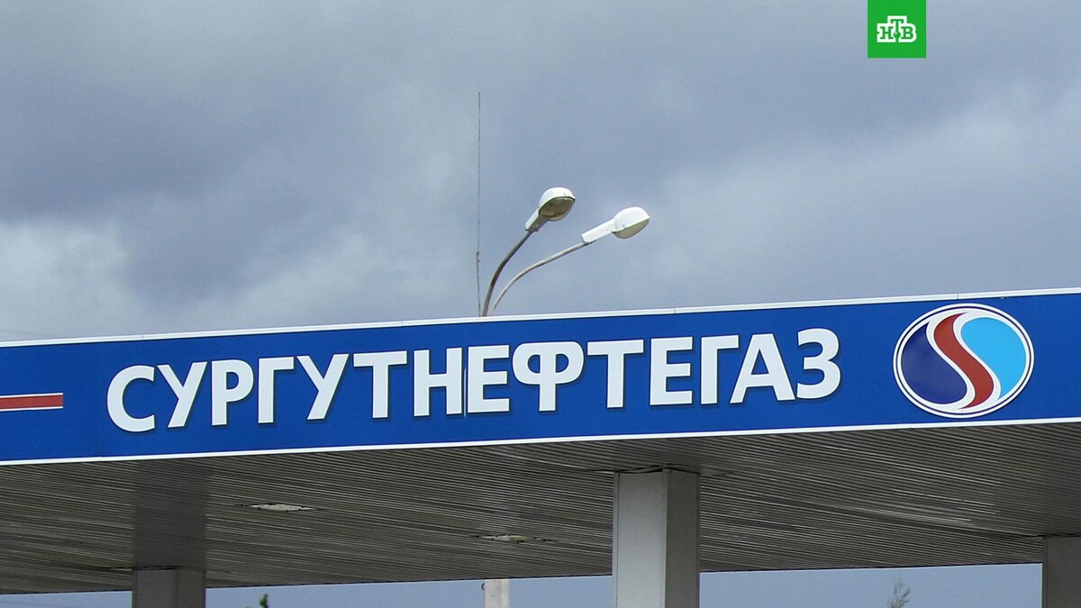    Фото: РИА Новости © 2025, Константин Чалабов