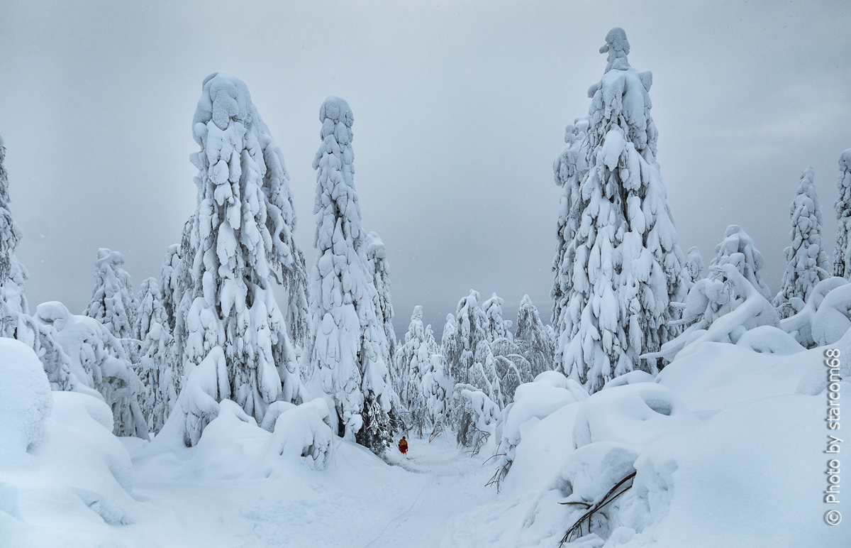 Снежная сказка на Полюде