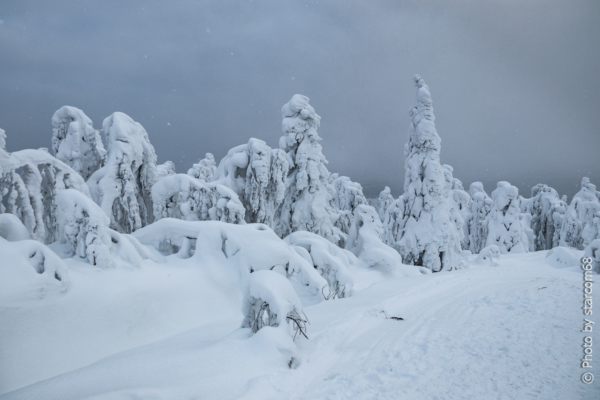 Неторопко мы спускались вниз и так как оказались за ветром, то можно было вновь достать из запазухи фотокамеру