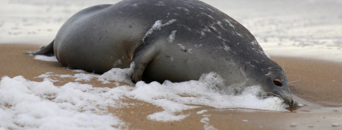 фото взято с вк