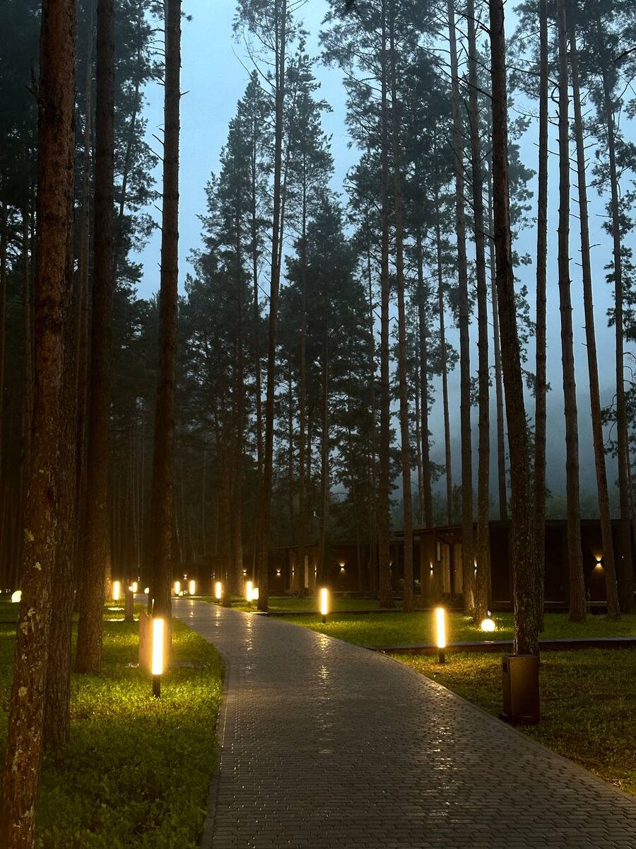 Фото территории отеля